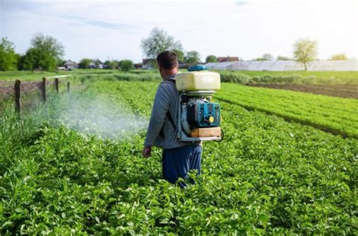 Should farmers use pesticides?