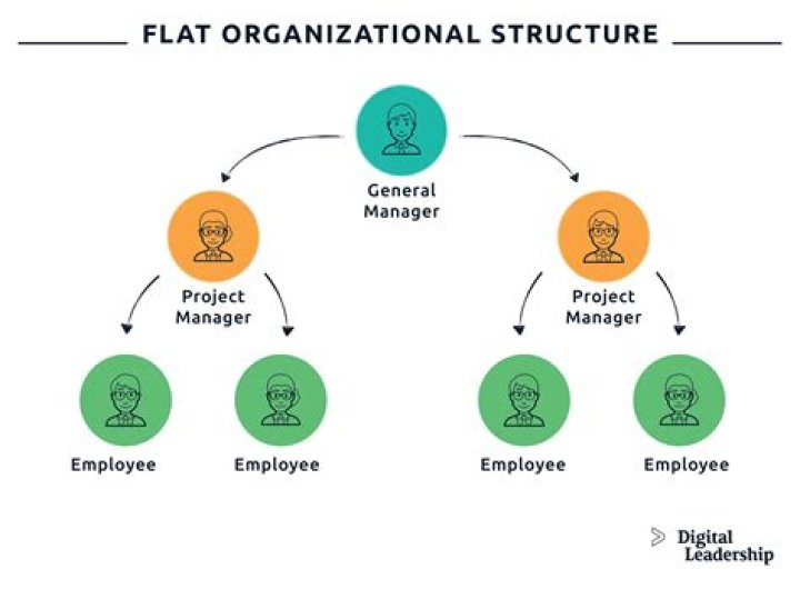 Should the focus of an organization be on the organization or on talent?