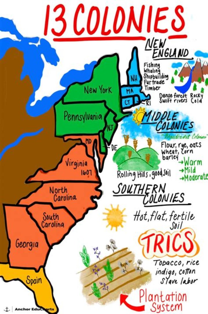 What 3 crops were the most important for making money in the southern colonies?