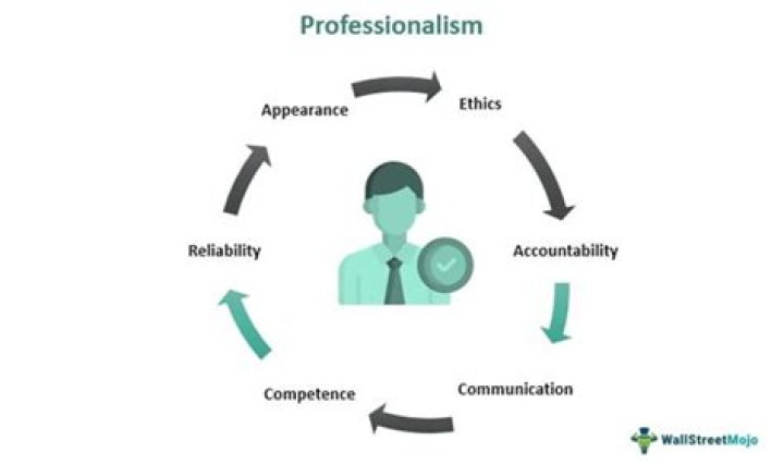 What are 5 traits of professionalism?
