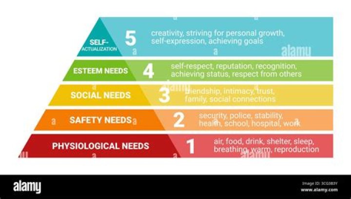 What are basic human needs?