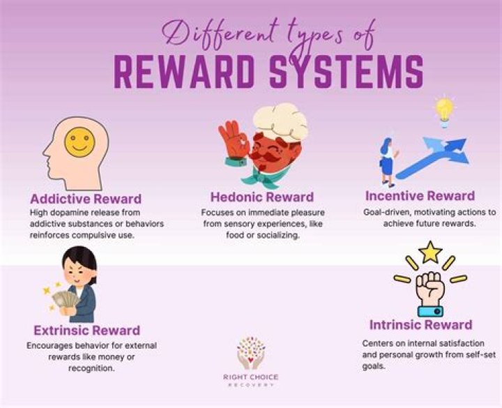 What are behavior reward systems?