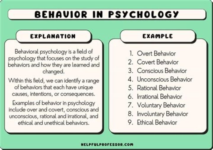 What are behavioral descriptions?
