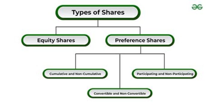 What are common shares in a corporation?