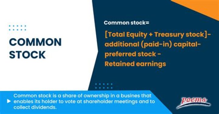 What are common stocks outstanding?