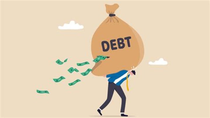 What are company debts called?