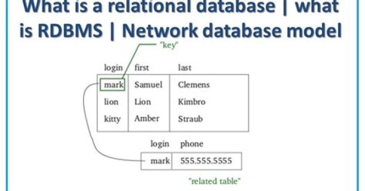 What are database skills?