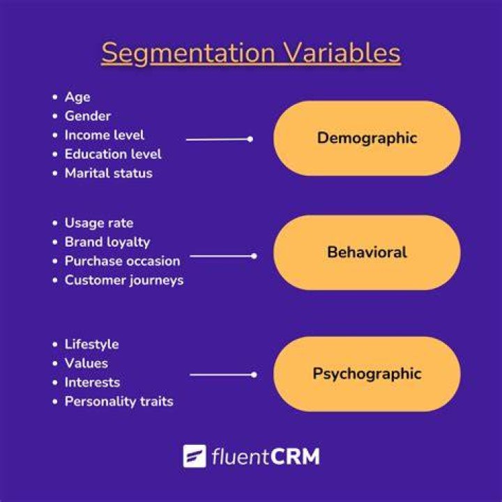 What are demographic variables in segmentation?
