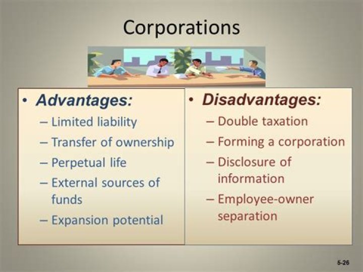 What are disadvantages of public corporation?