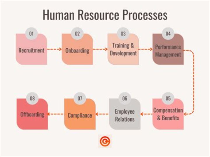 What are employment processes?