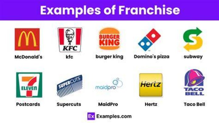 What are examples of a franchise?