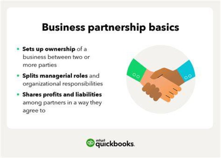 What are examples of partnership business?