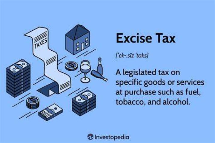 What are excise taxes and why does the government impose excise taxes?