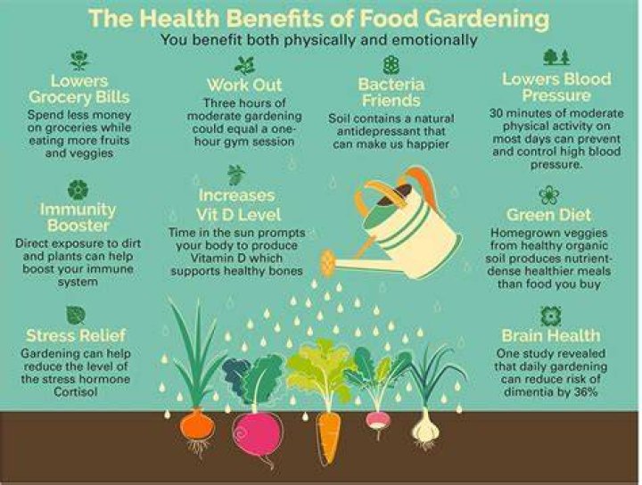 What are four benefits of growing your own plants?