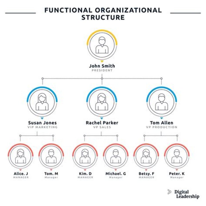 What are functional structures?