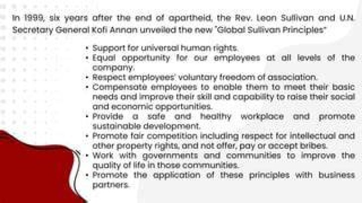 What are Global Sullivan principles?