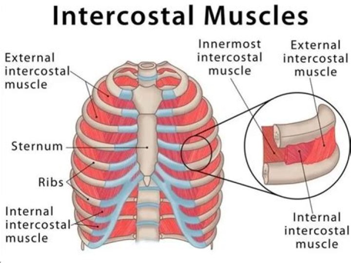 What are internal and external indicators?
