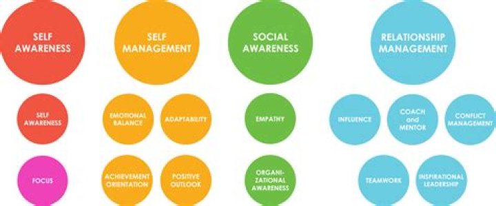 What are management competencies?