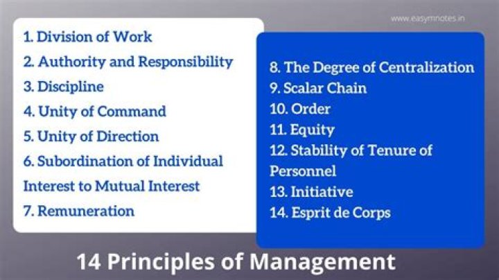What are management principles?