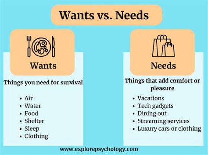 What are needs and wants?