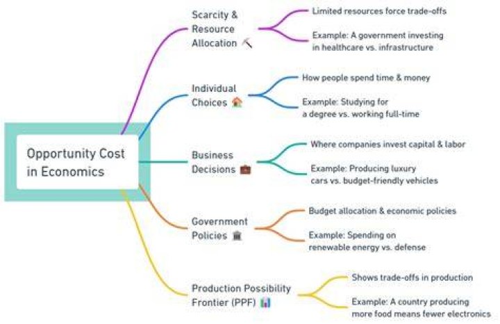 What are opportunity costs for society?