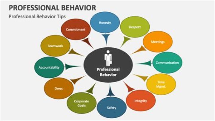 What are professional Behaviours?