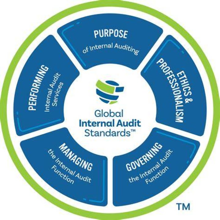 What are professional standards in auditing?