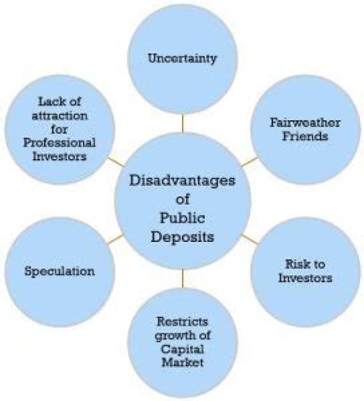 What are public deposits?