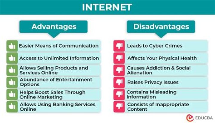 What are some advantages and disadvantages of services being privatized?