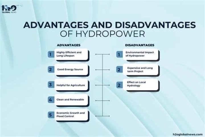 What are some advantages and disadvantages of standardization?