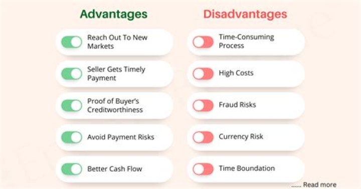 What are some advantages of paying with a check?