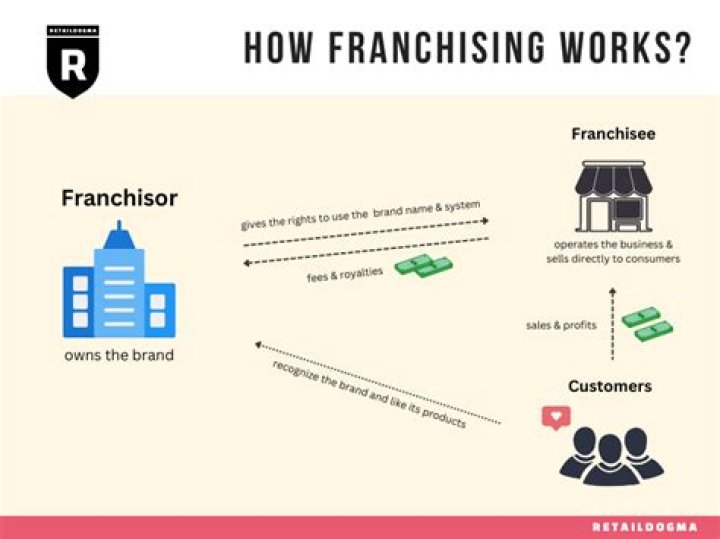 What are some franchise examples?