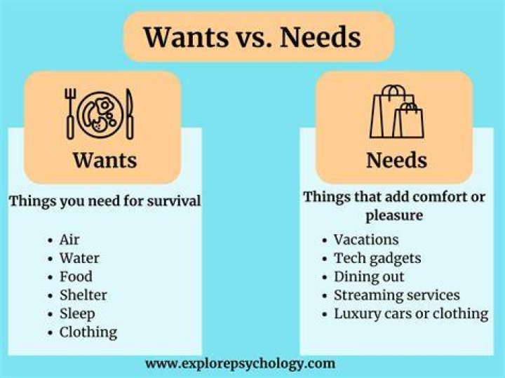 What are stakeholders needs and examples?