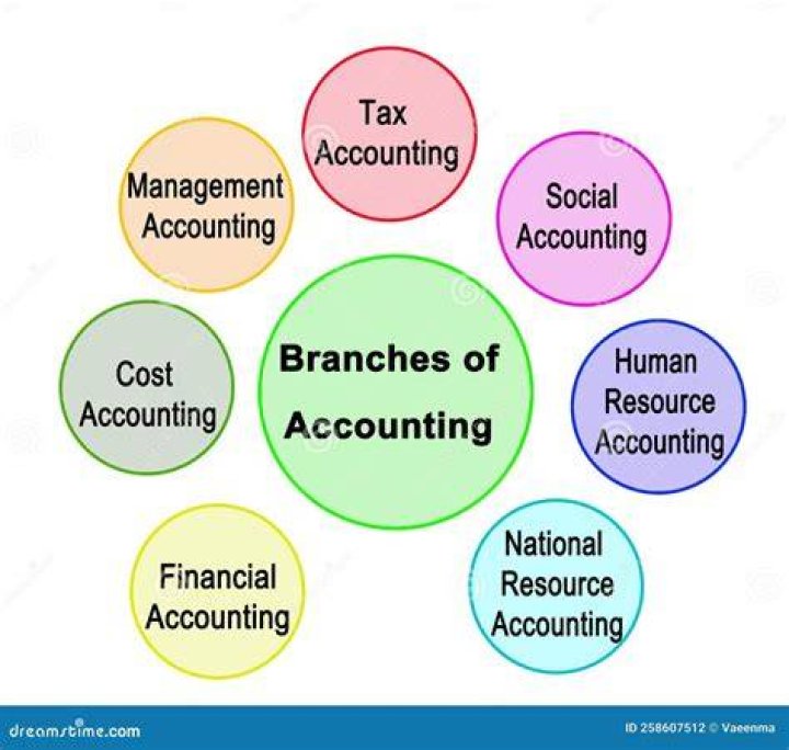 What are the 11 branches of accounting?