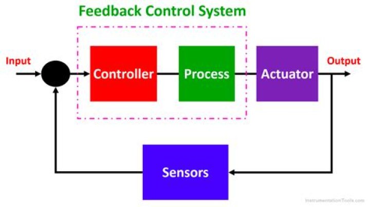 What are the 3 control systems?