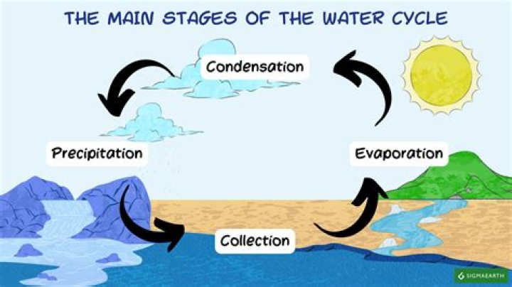 What are the 3 main steps of the water cycle?