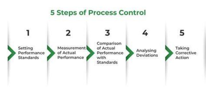 What are the 3 steps in the control process?