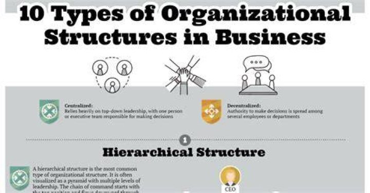What are the 3 types of business organization?