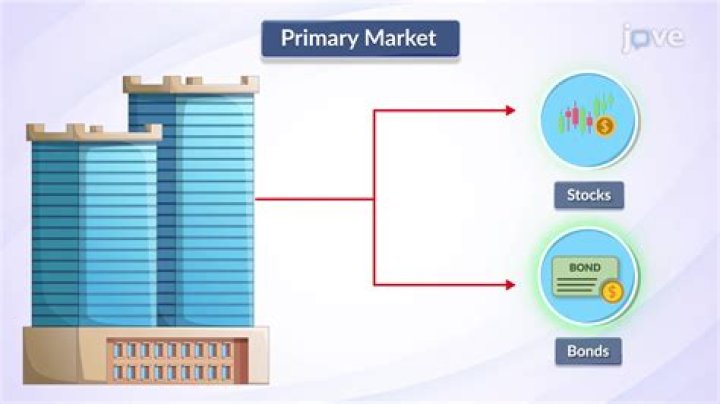 What are the 3 types of primary market?