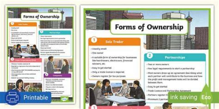What are the 4 forms of business?