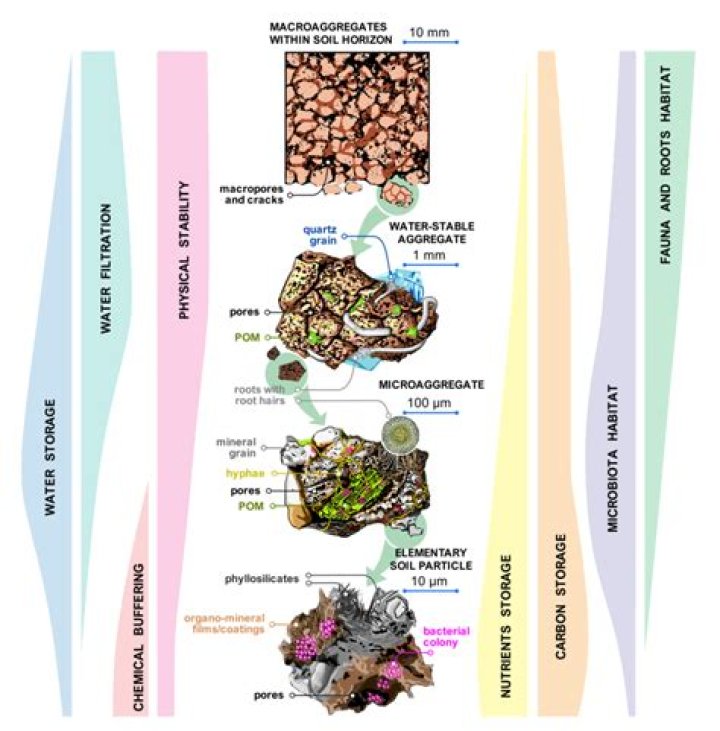 What are the 4 main types of aggregates?