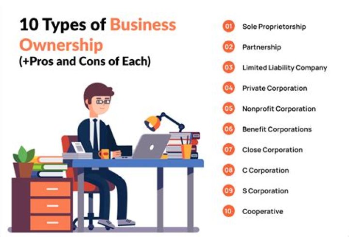 What are the 4 main types of business ownership?