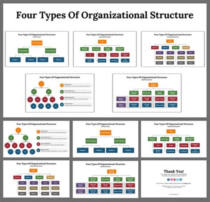 What are the 4 organizational patterns?