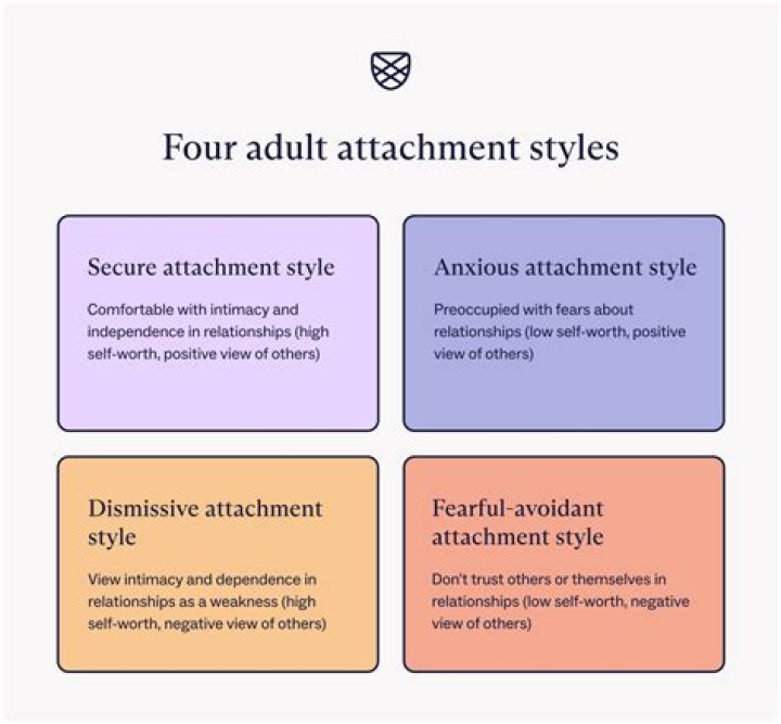 What are the 4 types of programs that universities offer?