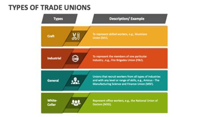 What are the 4 types of trade union?