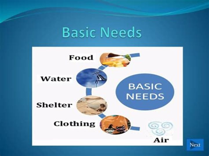 What are the 5 basic needs of a child?