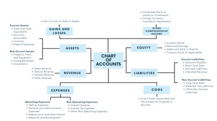 What are the 5 basic types of accounts?
