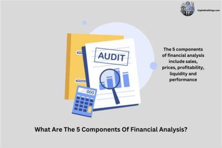 What are the 5 components of financial analysis?