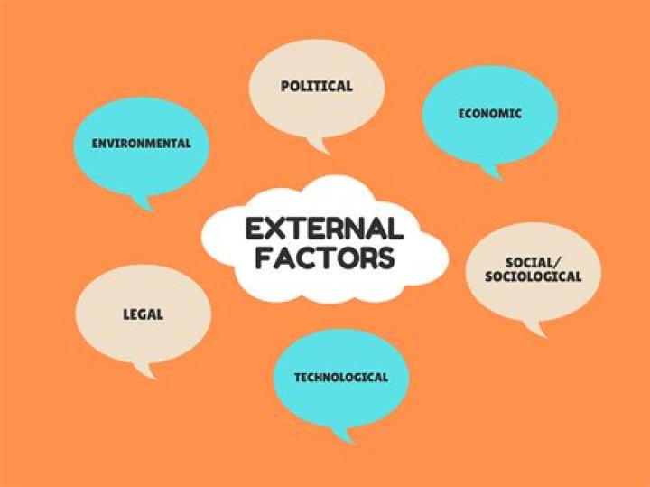 What are the 5 external factors?