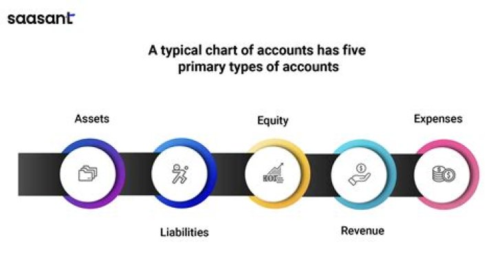 What are the 5 main account types in the chart of accounts?